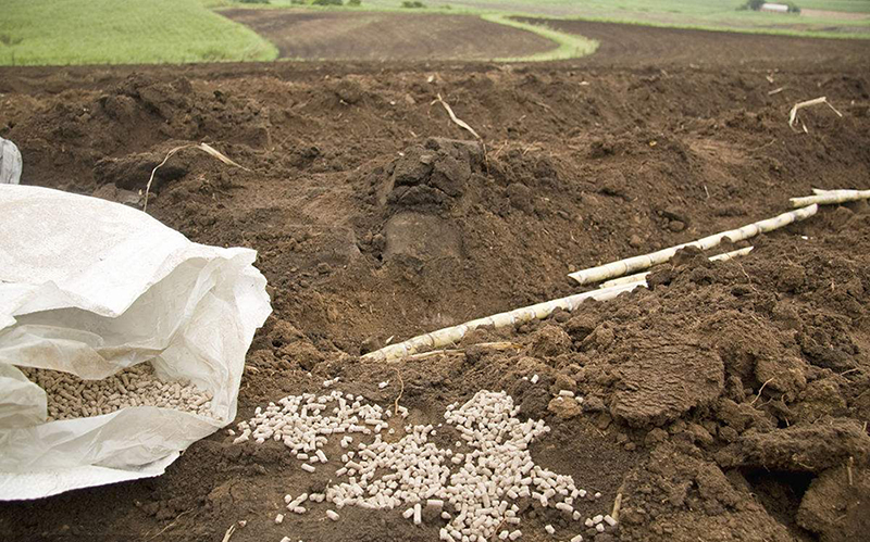 燕丰复合肥生产厂家为您解析肥料混合使用要注意什么？